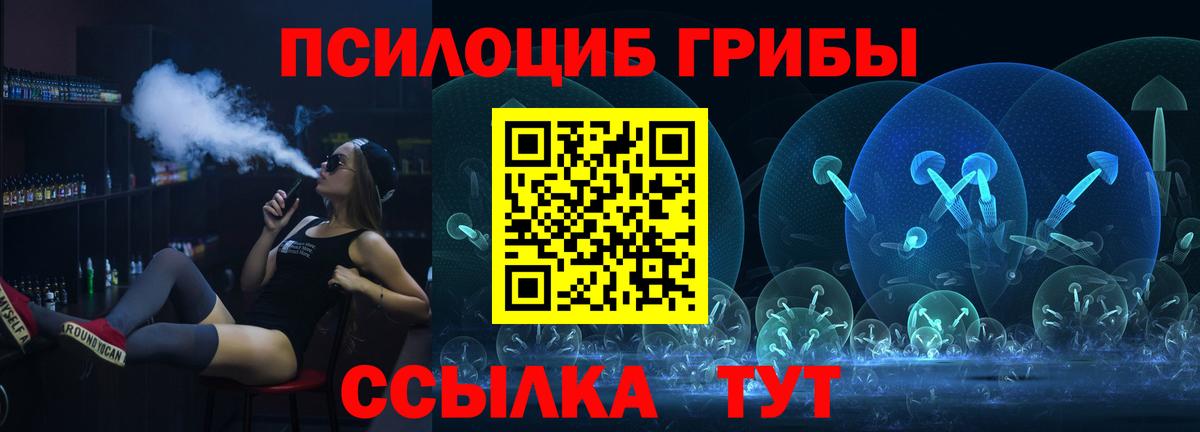 Псилоцибиновые грибы мицелий Вышний Волочёк